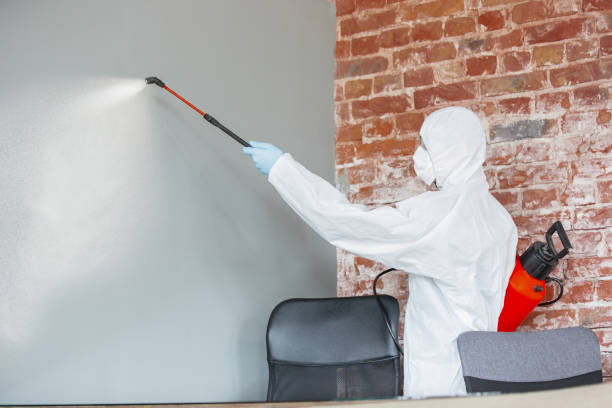 Best Emergency Mold Remediation  in Spring Hill, TN