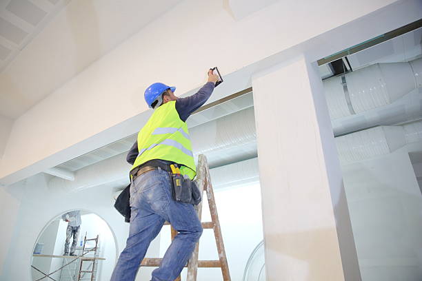 Best Post-Construction Mold Inspection  in Spring Hill, TN