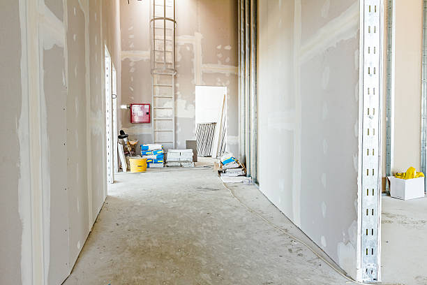 Best Comprehensive Air Testing for Mold Contaminants  in Spring Hill, TN