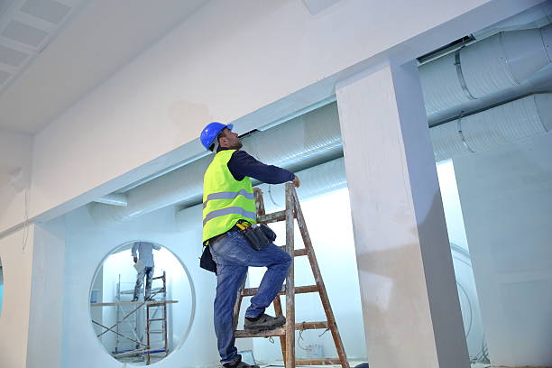 Best Forensic Mold Investigation  in Spring Hill, TN